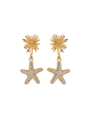 Brinco Maré Base Pontas Estrela Cravejada Banho Ouro 18k Zircônias