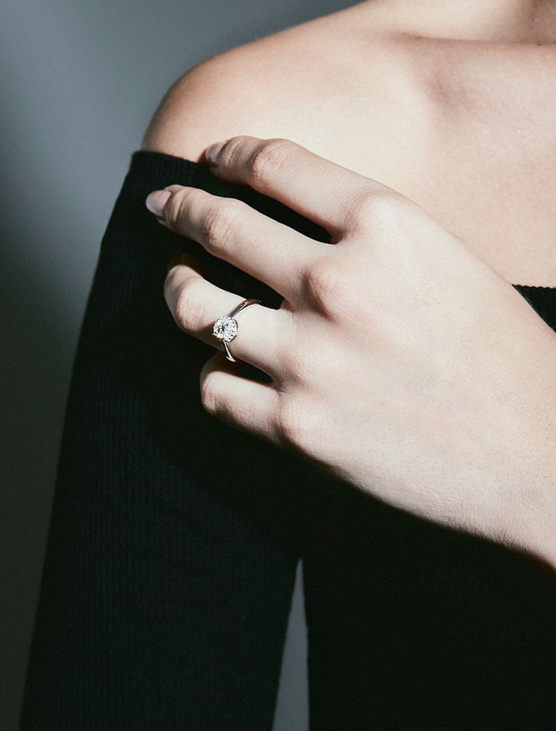 corpo