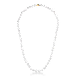 Colar Curto Fecho Imã Banho Ouro 18K